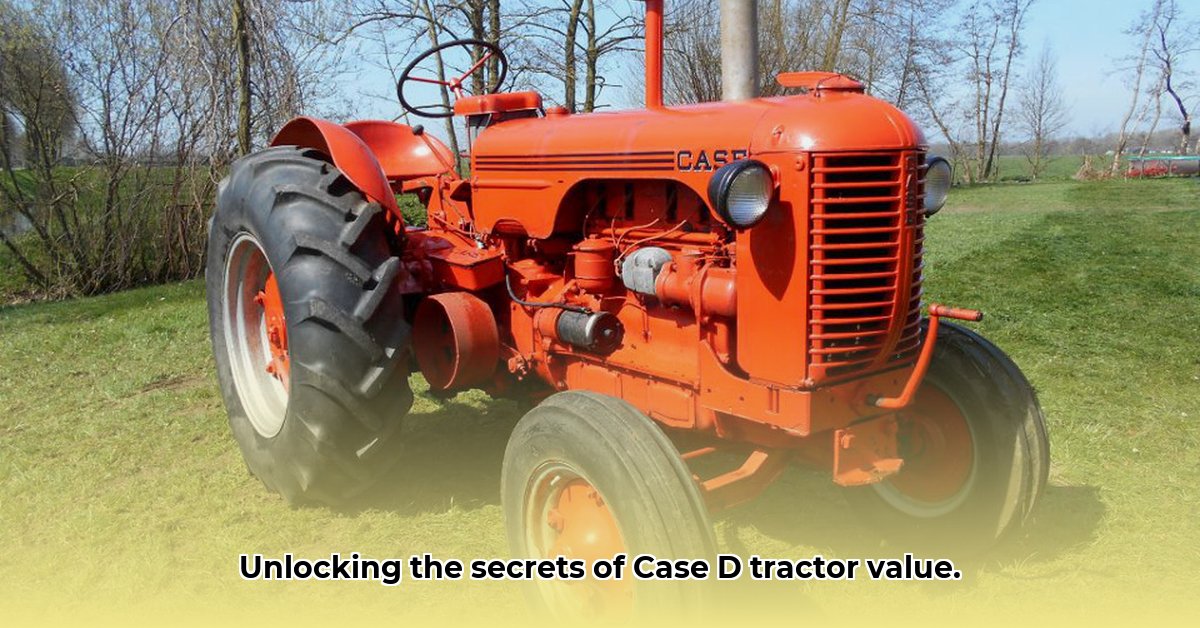 case-d-tractor